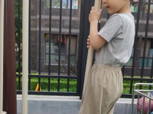桃园宝宝合技能攻略（解锁合技能，构建无敌联动，畅享战斗快感）