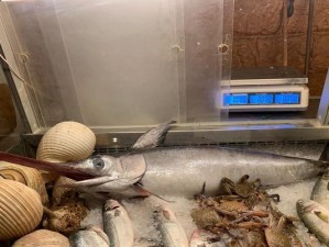 打造成功的摩摩餐厅升级攻略（让您的餐厅独具魅力，吸引更多顾客）
