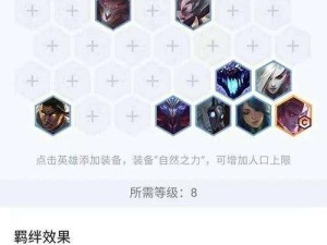 S级阵容装备详解，打造全能刺客输出！（S级阵容装备详解，打造全能刺客输出！）