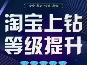 《奥拉索斯战纪钻石使用指南》（详解如何合理利用钻石，提升游戏体验）