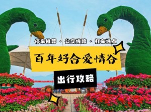 《爱情谷的最强出装攻略》（成就绝对胜利的关键——掌握最强装备搭配方案）