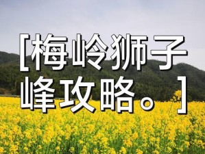 征服狮子女的攻略（揭秘狮子女心中的王者梦）