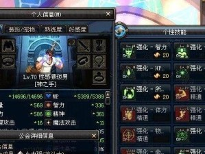 DNF手游圣职者转职推荐（探究最适合转职的职业以及技能解析，带你冲击更高难度副本）