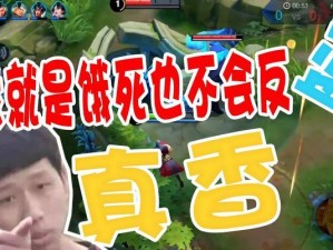 泰王达摩出装攻略（如何打造强力的达摩王者之姿）