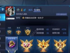 女神之光铭文出装最新攻略（无敌辅助！女神之光铭文出装攻略）