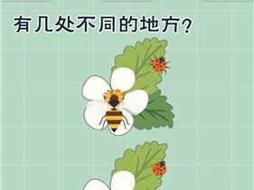 《最囧大脑》游戏37关图文通关攻略（带你轻松通关，享受游戏乐趣）