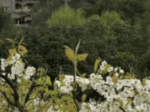 探索以一百道门12（探索谜题世界，解开门后的秘密）