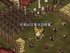 饥荒联机建家攻略（饥荒联机建家攻略，助你建立强大的生存家园）