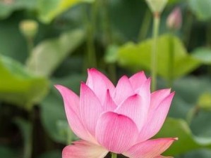 《穿越时空之轮，打造最强装备》（攻略详解+装备推荐）