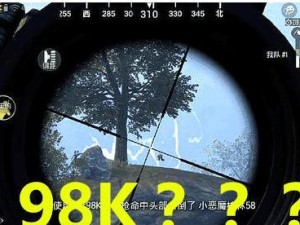 《绝地求生刺激战场》子弹装填详解（学会这些技巧，成为子弹装填高手）