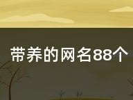 仙人巫女出装攻略（探索仙人巫女出装方式，解锁无敌穿越力量）
