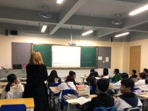 《攻略神经猫，成为最强同桌游戏玩家》（掌握技巧，打败对手，赢取胜利！）