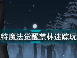 打造低费魔法觉醒咒术流攻略，畅玩哈利波特世界！