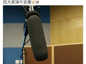 新盗墓笔记粽子玩法全面解析（让你从此爱上这款神秘的文化遗产游戏）
