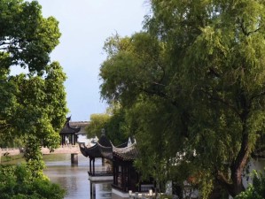 门派岩羊如何正确打平民攻略（游戏中的平民保护措施及对门派岩羊的影响）
