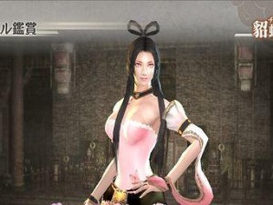 真三国无双6貂蝉出装攻略（无双之美华丽登场，貂蝉装备选择与技巧全解析）