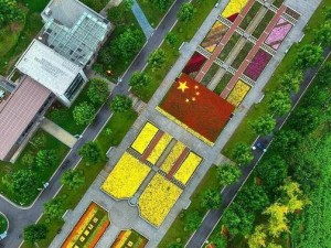 游戏攻略（了解历史文化，打造繁华都市）
