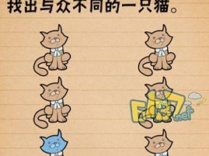 《嫁不出去的女人》第2关攻略（如何成功吸引男性注意？）