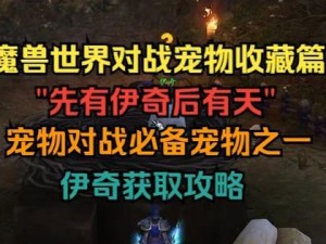 魔兽练宠物攻略（掌握技巧，成就无敌宠物队伍）