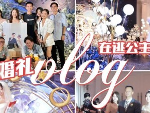 攻略王子计划（利用资源优势获得竞争优势的关键策略）