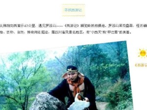 西游伙伴攻略（为你指引西游路上的伙伴选择和培养之道）