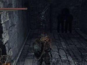 《黑暗之魂2》收集攻略大全（探索黑暗的奥秘，集齐珍贵道具的终极指南）
