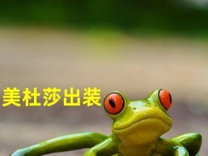 气宗技能出装攻略（了解最强气宗技能与装备搭配，助你在战场中无往不利！）